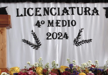 LICENCIATURA 4TOS MEDIOS