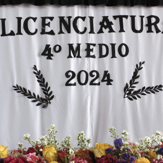 LICENCIATURA 4TOS MEDIOS